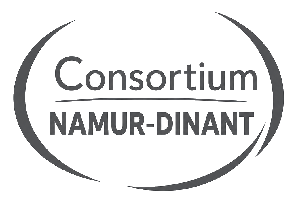 boutiquedegestion.be SISD Consortium Namur Dinant logo